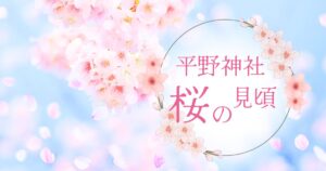 【平野神社】桜の見頃と開花状況・種類を解説！夜桜ライトアップも必見