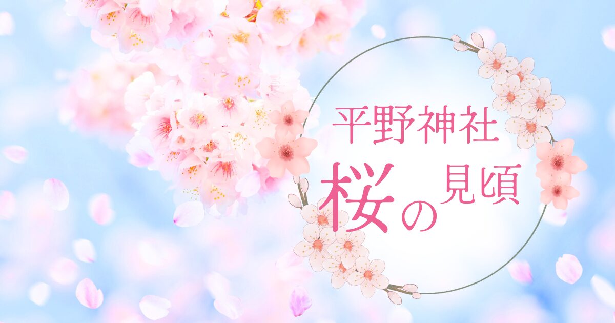 【平野神社】桜の見頃と開花状況・種類を解説！夜桜ライトアップも必見
